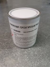 Top coat supcoat NPG piscine blanc version Pinceau en 1kg